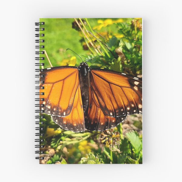 Item preview, Monarch of the garden designed and sold by Gege-16.