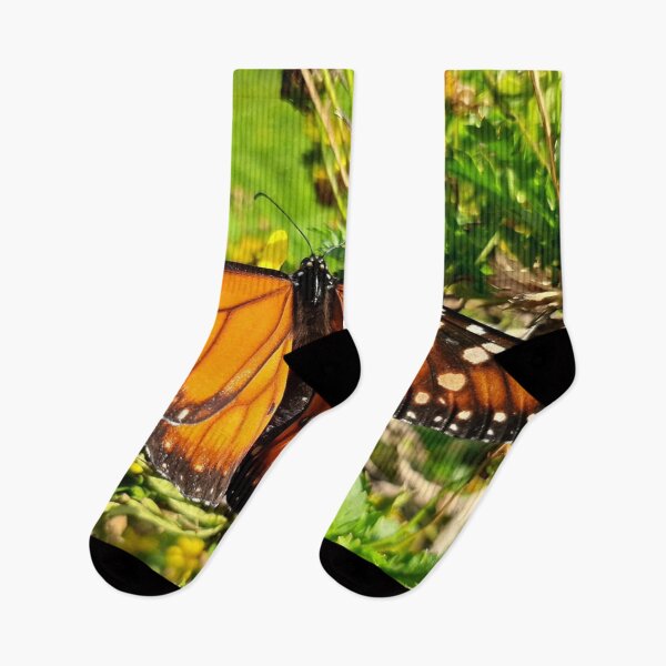 Item preview, Monarch of the garden designed and sold by Gege-16.