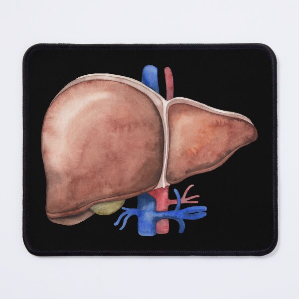 Item preview, Watercolor liver designed and sold by Ekaterina Glazkova.
