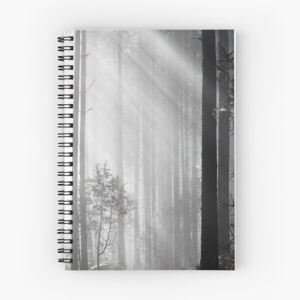 Item preview, 30.4.2018: Rays of Light II designed and sold by Petri Volanen.