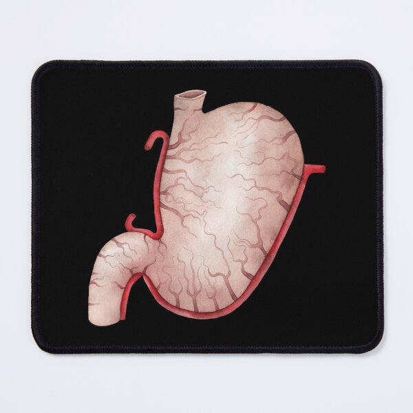 Item preview, Watercolor stomach designed and sold by Ekaterina Glazkova.