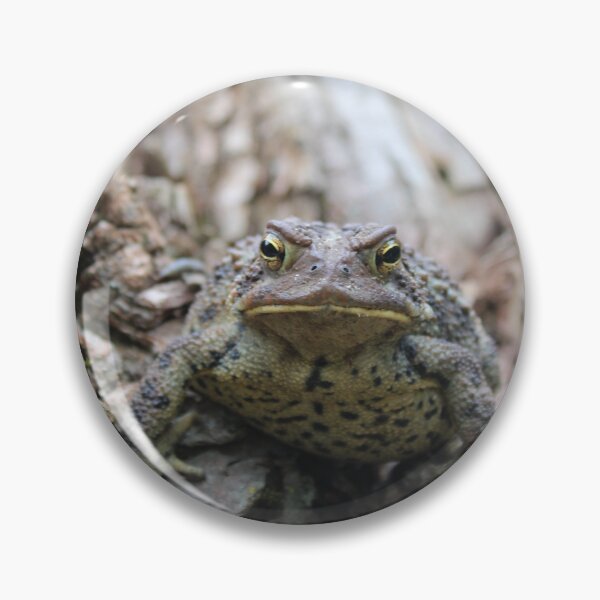Item preview, toad on a log designed and sold by littlezoo317.