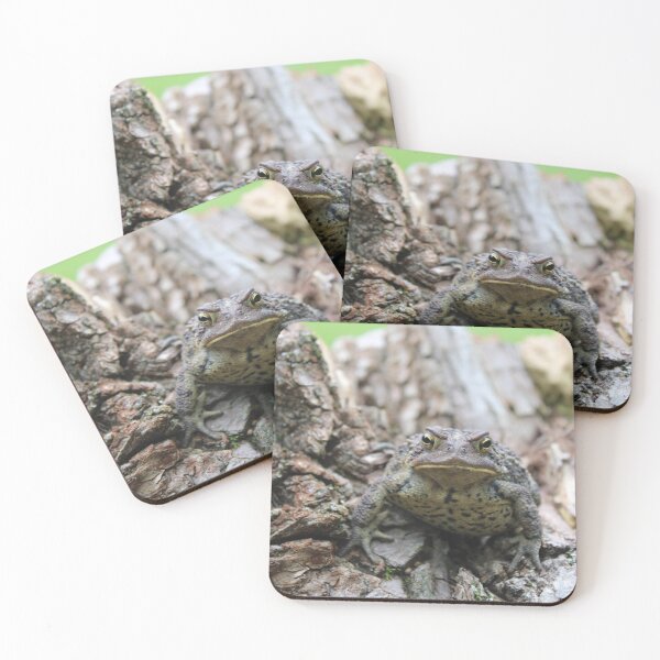 Item preview, toad on a log designed and sold by littlezoo317.