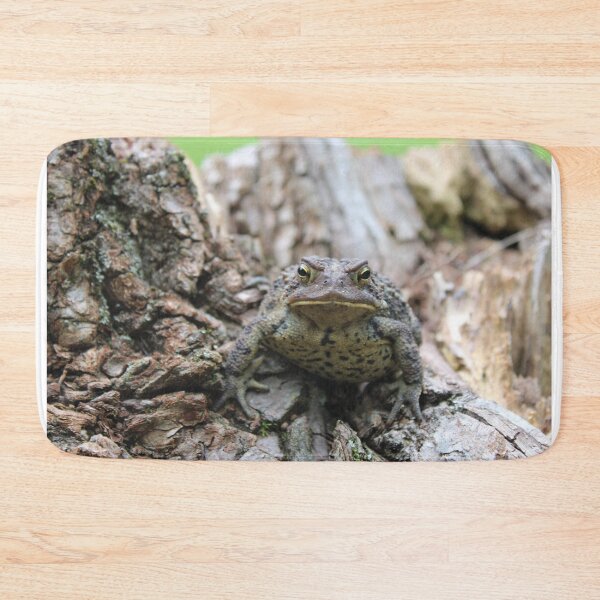 Item preview, toad on a log designed and sold by littlezoo317.