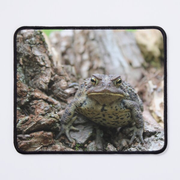 Item preview, toad on a log designed and sold by littlezoo317.