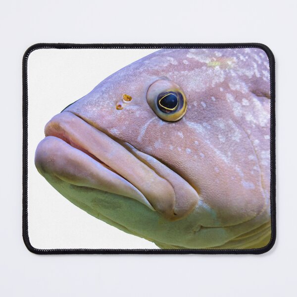 Item preview, Fish Head designed and sold by AntonyGRobinson.
