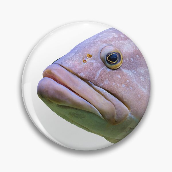 Item preview, Fish Head designed and sold by AntonyGRobinson.