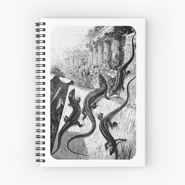 Item preview, Wall Lizards Line Art Illustration designed and sold by globbs.