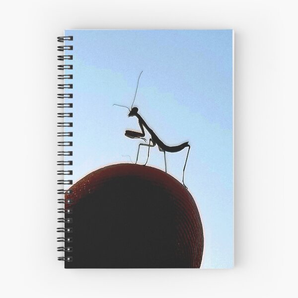 Item preview, Praying Mantis Baby designed and sold by PartnersInCrime.