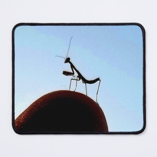 Item preview, Praying Mantis Baby designed and sold by PartnersInCrime.