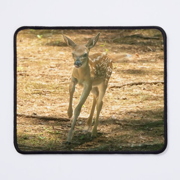 Item preview, Galloping Fawn Deer designed and sold by SafariByMarisa.