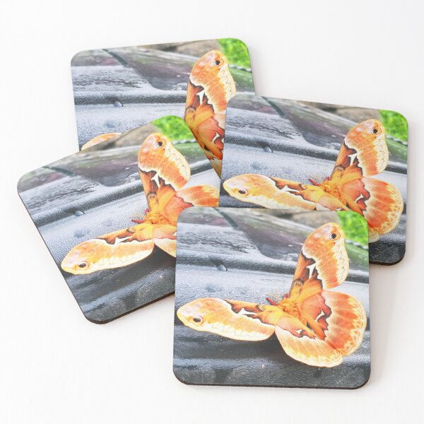 Item preview, El monarca designed and sold by PartnersInCrime.