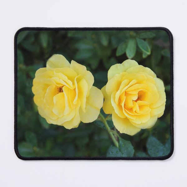Item preview, Double Delight designed and sold by heatherfriedman.