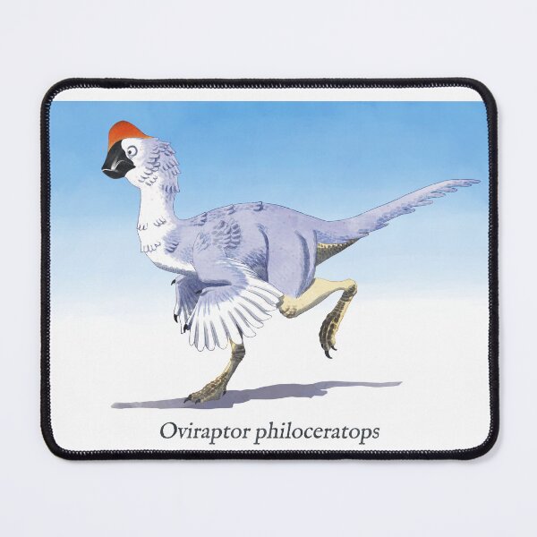 Item preview, O is for Oviraptor designed and sold by ildegrantees.