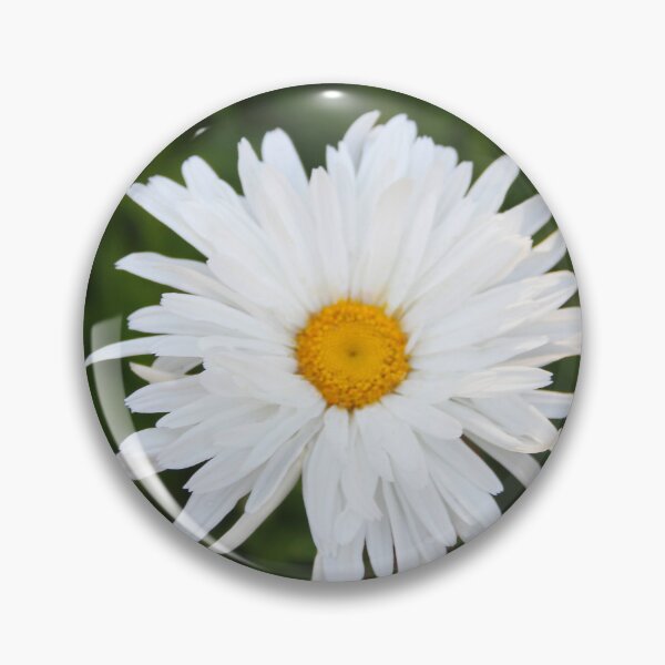 Item preview, Daisy Delight designed and sold by heatherfriedman.