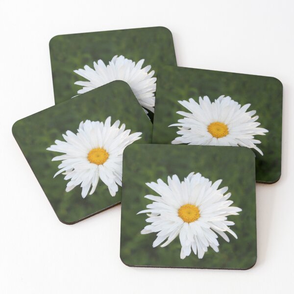 Item preview, Daisy Delight designed and sold by heatherfriedman.