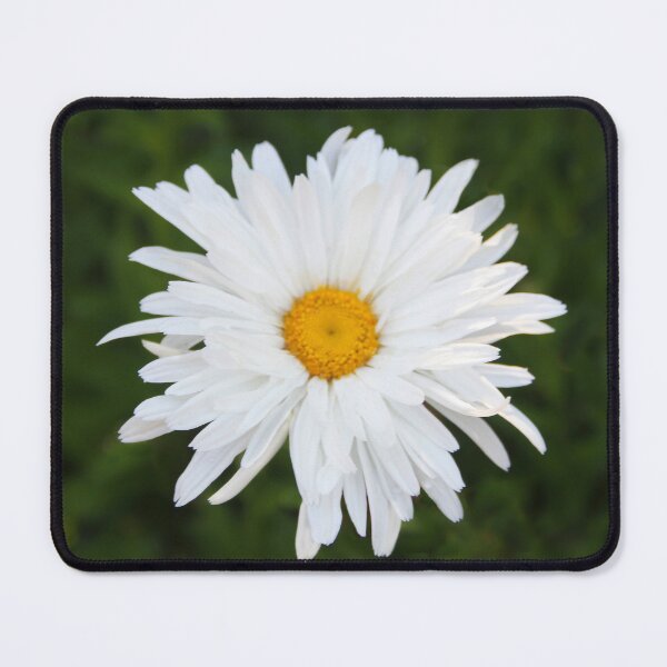 Item preview, Daisy Delight designed and sold by heatherfriedman.