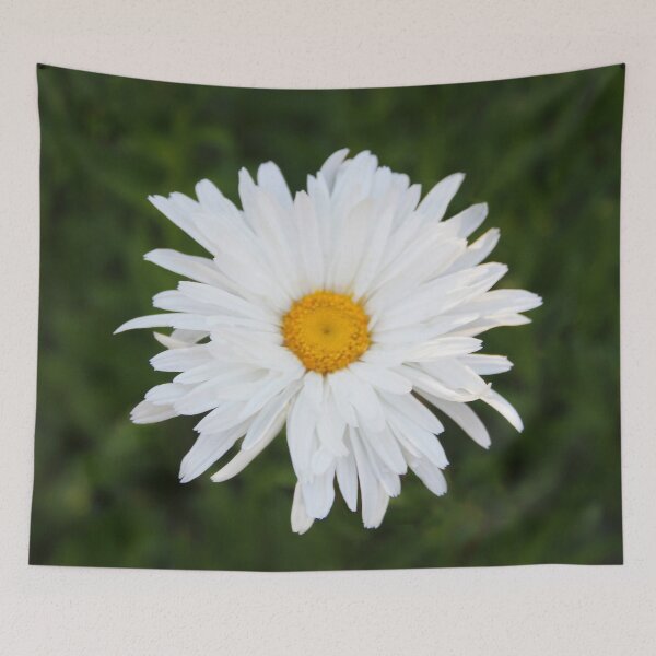 Item preview, Daisy Delight designed and sold by heatherfriedman.
