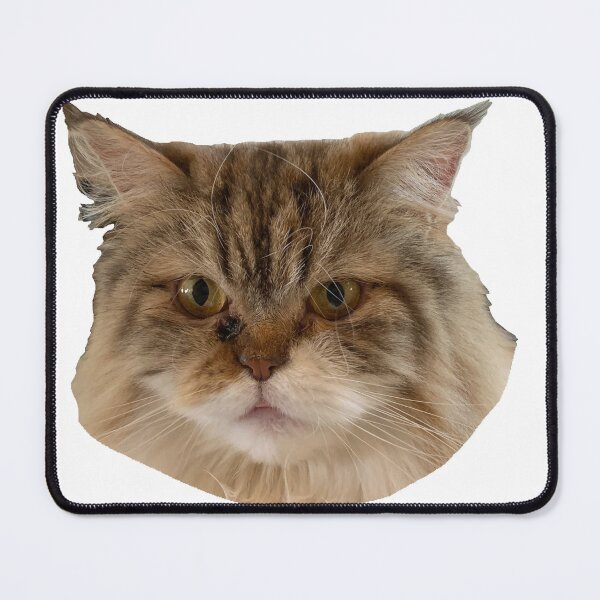 Item preview, kai dobertson designed and sold by maxgilbert5000.
