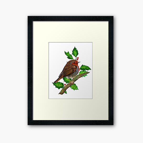 Robin Bird and Christmas Holly Watercolor Painting Wildlife Artwork Framed Art Print