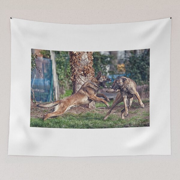 Item preview, Tiempo de juego de nuestro Malinois designed and sold by Peter Kaul.