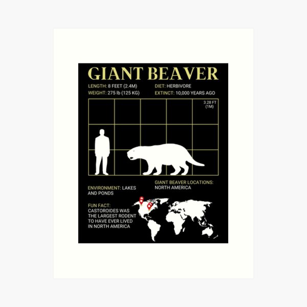 Item preview, Giant Beaver Extinct Rodent Castoroides Paleontology designed and sold by ExtinctFauna.