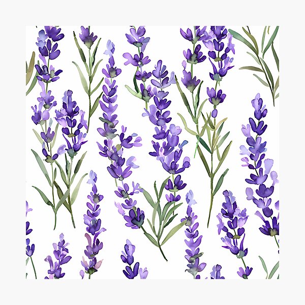 Item preview, Watercolour lavender fields seamless - Watercolour Paintings, Tea Herbs, Nature and Perfume, Lavender flowers field background. designed and sold by Bizgiv.