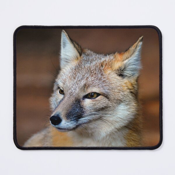 Item preview, Fox designed and sold by Savannah Gibbs.