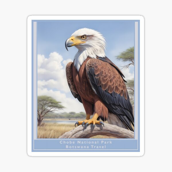 Vista previa del artículo con la obra «Póster estilo 1950 del Parque Nacional Chobe Botswana - Águila pescadora», diseñado y vendido por Museum Of Non-Existing Art.