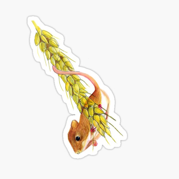 Harvest Mouse Animal Watercolor Painting Wildlife Artwork Sticker