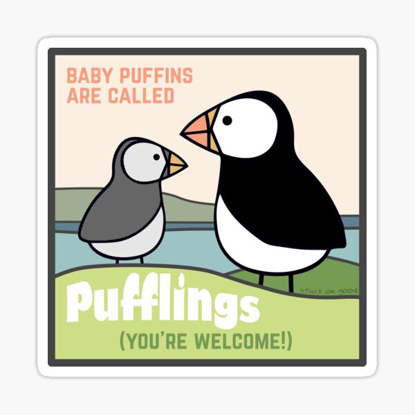 Artikel-Vorschau von Papageientaucherbabys heißen Pufflings, designt und verkauft von StuckOnGood.