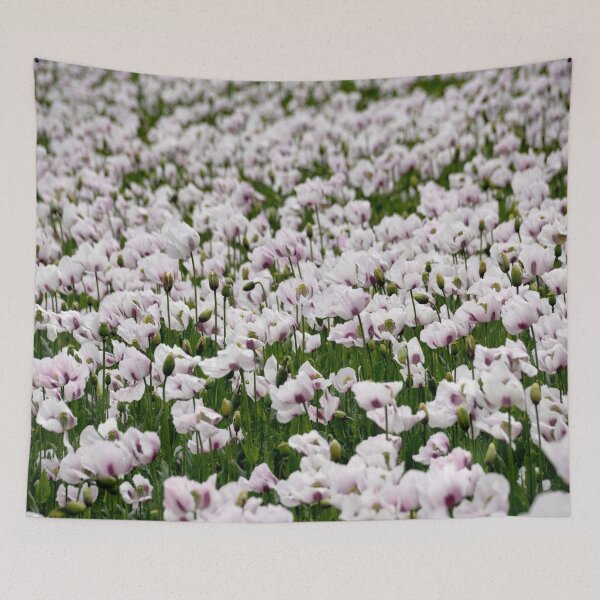 Item preview, large field of pale poppy. designed and sold by sandyprints.