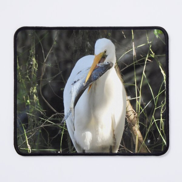 Item preview, Egrets big breakfast designed and sold by Mark Grimsley.