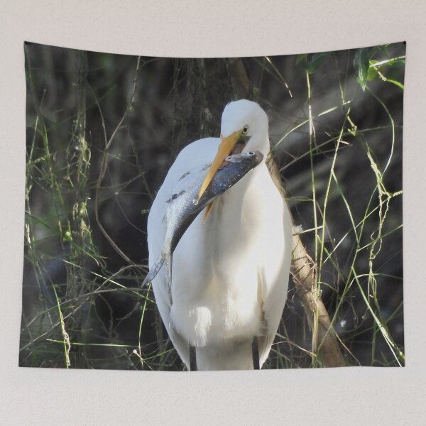 Item preview, Egrets big breakfast designed and sold by Mark Grimsley.