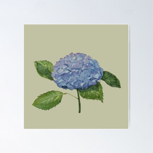 Item preview, Hydrangeas designed and sold by emilydesign2023.