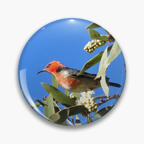 Item preview, Scarlet Honeyeater enjoying flowers at Arkarra Lagoons designed and sold by Mark Grimsley.