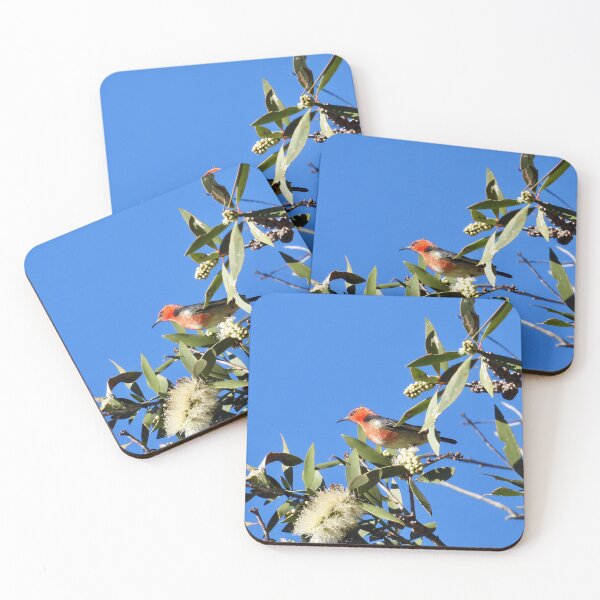Item preview, Scarlet Honeyeater enjoying flowers at Arkarra Lagoons designed and sold by Mark Grimsley.