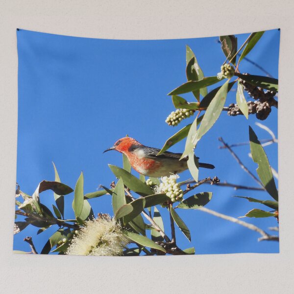 Item preview, Scarlet Honeyeater enjoying flowers at Arkarra Lagoons designed and sold by Mark Grimsley.