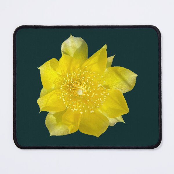 Item preview, Yellow Flower designed and sold by Amanda1775.
