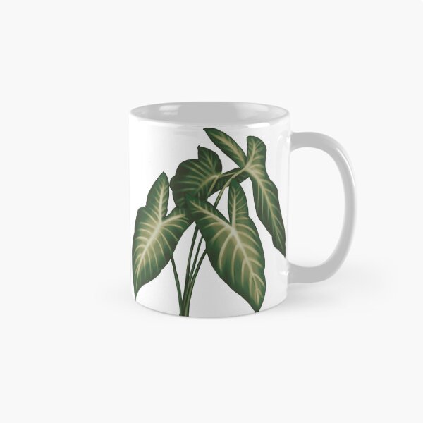 Item preview, Angel Wings (Caladium Lindenii) - Transparent Botanical Illustration designed and sold by VikCleoNaturin.