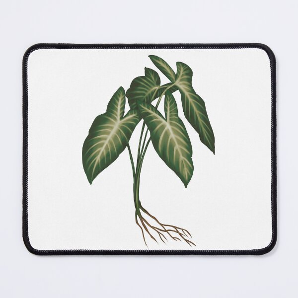 Item preview, Angel Wings (Caladium Lindenii) - Transparent Botanical Illustration designed and sold by VikCleoNaturin.