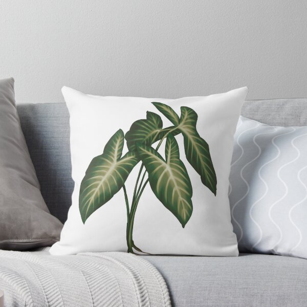 Item preview, Angel Wings (Caladium Lindenii) - Transparent Botanical Illustration designed and sold by VikCleoNaturin.