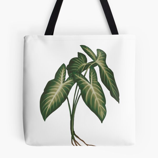 Item preview, Angel Wings (Caladium Lindenii) - Transparent Botanical Illustration designed and sold by VikCleoNaturin.