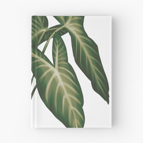 Item preview, Angel Wings (Caladium Lindenii) - Transparent Botanical Illustration designed and sold by VikCleoNaturin.