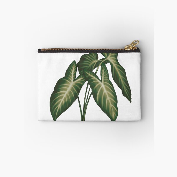 Item preview, Angel Wings (Caladium Lindenii) - Transparent Botanical Illustration designed and sold by VikCleoNaturin.