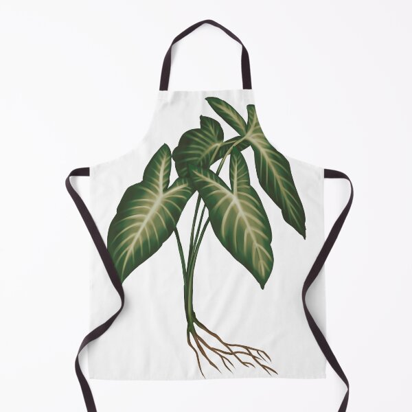 Item preview, Angel Wings (Caladium Lindenii) - Transparent Botanical Illustration designed and sold by VikCleoNaturin.