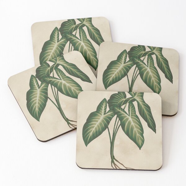 Item preview, Angel Wings (Caladium Lindenii) - Botanical Illustration on aged paper designed and sold by VikCleoNaturin.