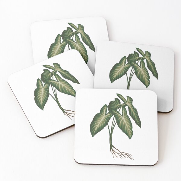 Item preview, Angel Wings (Caladium Lindenii) - Transparent Botanical Illustration designed and sold by VikCleoNaturin.