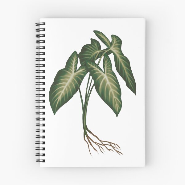 Item preview, Angel Wings (Caladium Lindenii) - Transparent Botanical Illustration designed and sold by VikCleoNaturin.