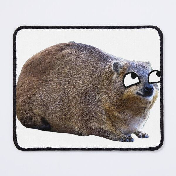 Item preview, derp eyed rock hyrax designed and sold by SillyLittleSnek.